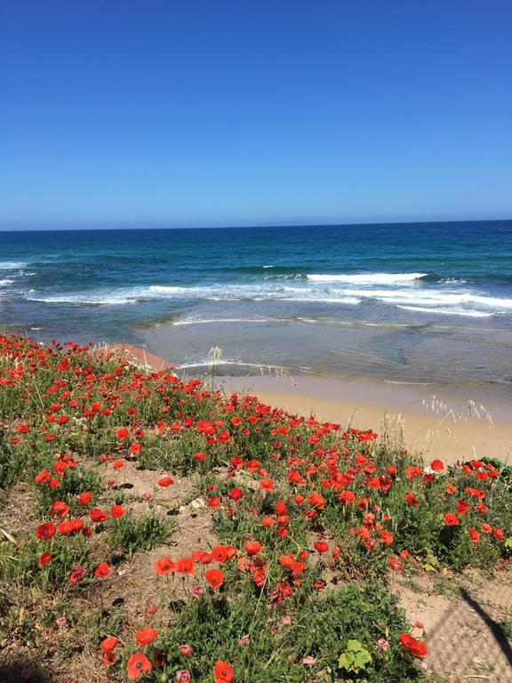 ホテル Artemisia Sardegna Tergu エクステリア 写真